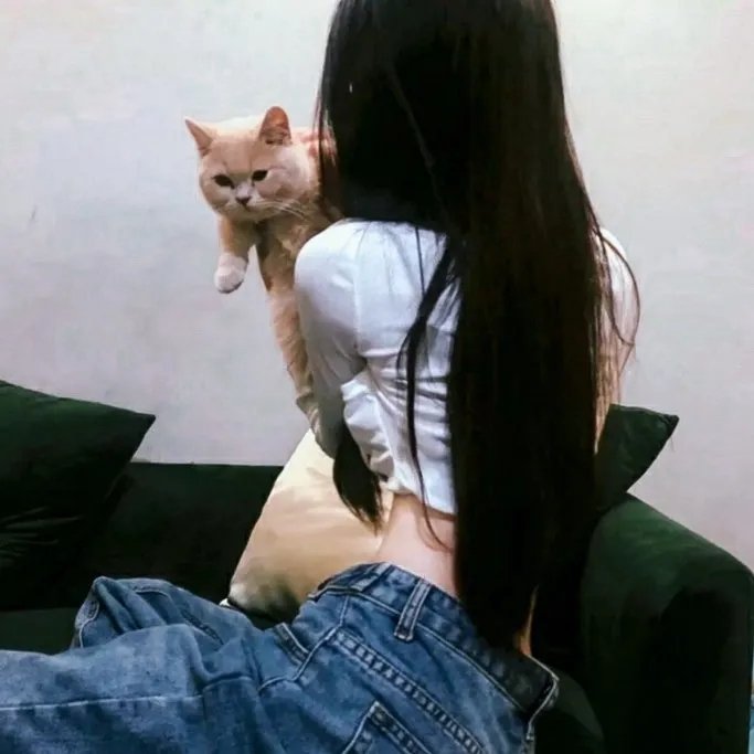 捣乱剧团的婚礼